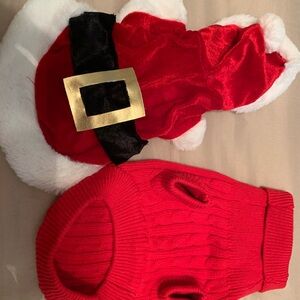 Holiday colors for your little dog.